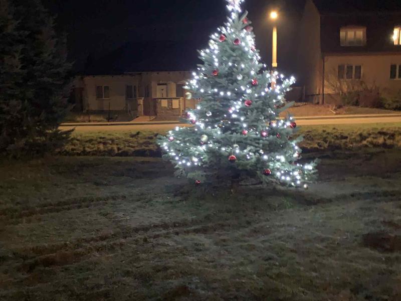 Zpívání u vánočního stromečku